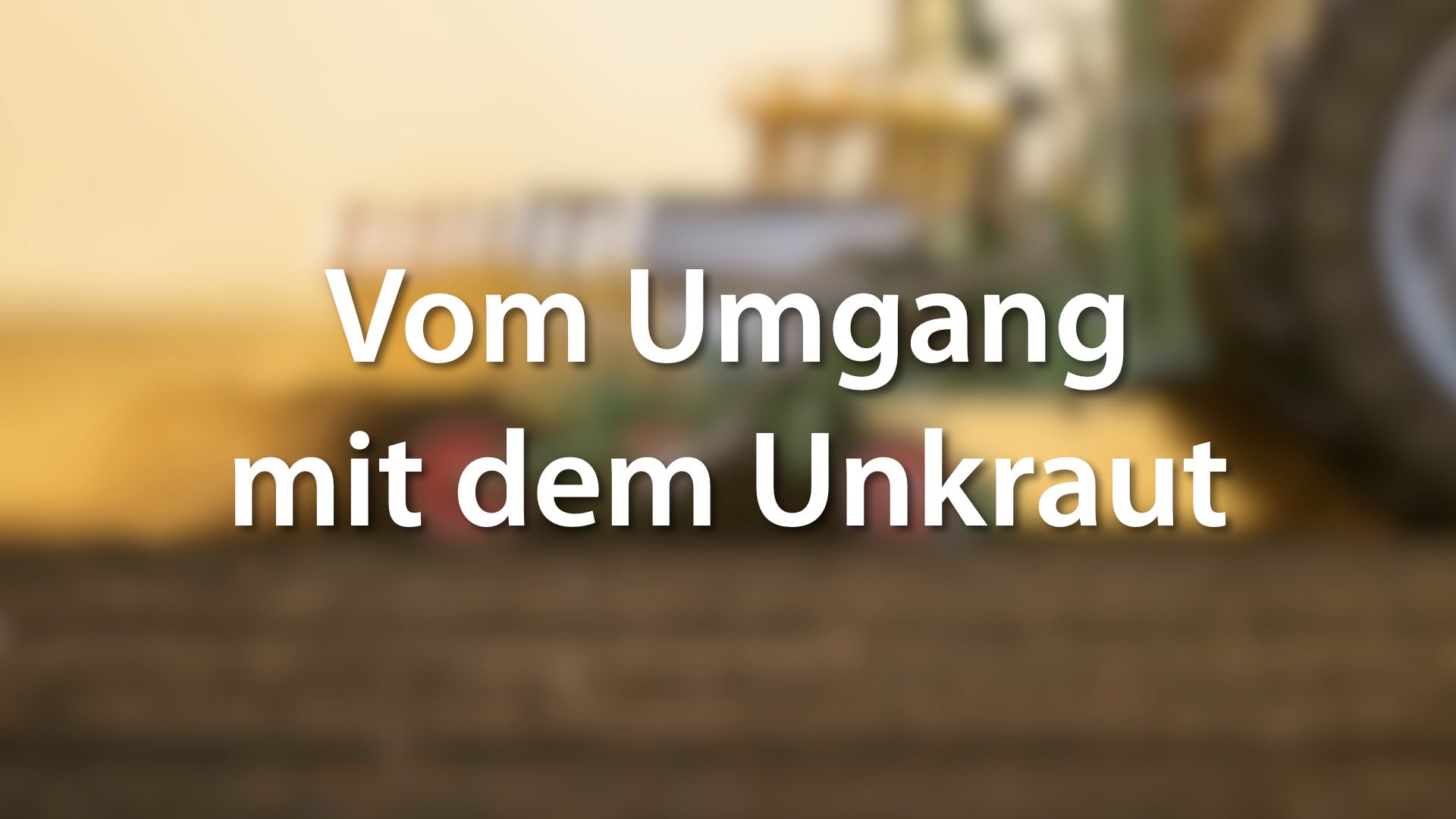 Vom Umgang mit dem Unkraut.004